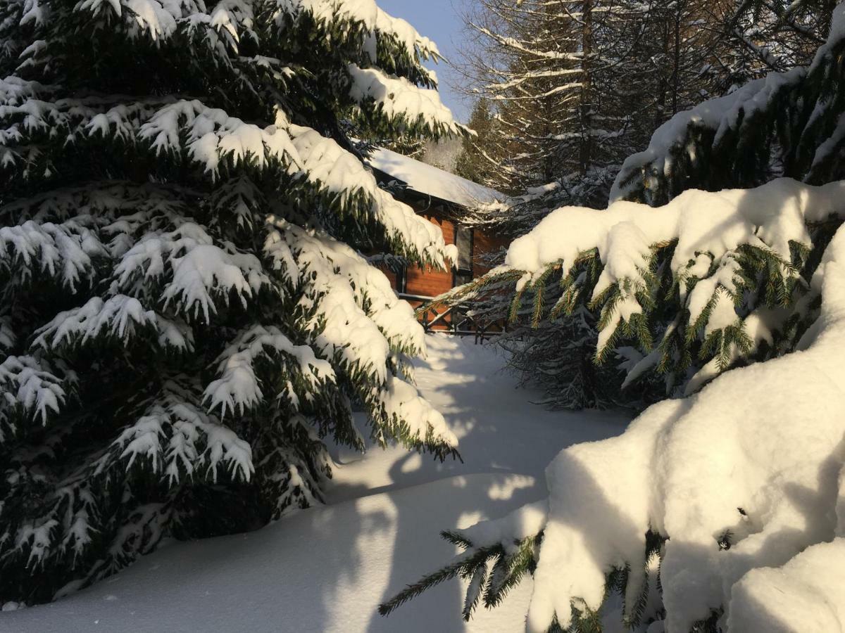 Chalet Rackova Dolina Pribylina Exterior photo